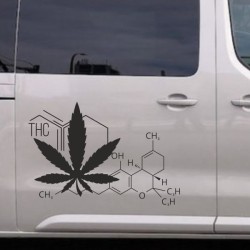 Aufkleber SET Auto Car Tattoo Style Seiten Tribal Dekor Pferd Gecko Power Blumen Ranke Fee Hexe Blumen Blüten Gecko Farbe Decal