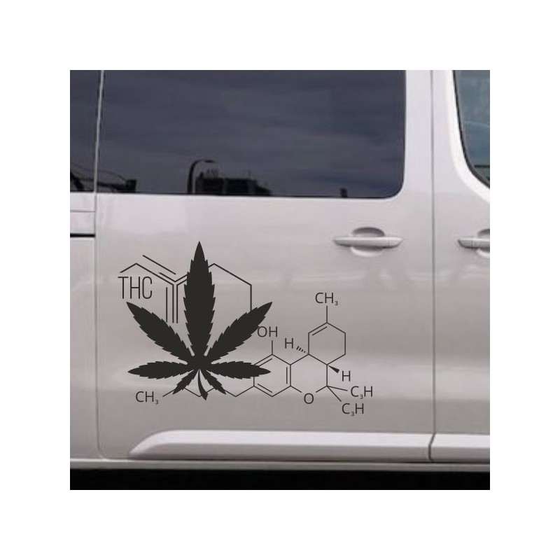 Aufkleber SET Auto Car Tattoo Style Seiten Tribal Dekor Pferd Gecko Power Blumen Ranke Fee Hexe Blumen Blüten Gecko Farbe Decal