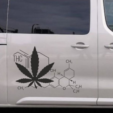 Aufkleber SET Auto Car Tattoo Style Seiten Tribal Dekor Pferd Gecko Power Blumen Ranke Fee Hexe Blumen Blüten Gecko Farbe Decal