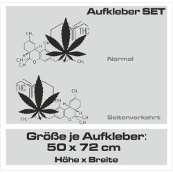 Aufkleber SET Auto Car Tattoo Style Seiten Tribal Dekor Pferd Gecko Power Blumen Ranke Fee Hexe Blumen Blüten Gecko Farbe Decal