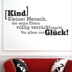 Wandaufkleber Wandtattoo Sprüche Yoga Sugar Skull Bulli Bus Familie Endlosschleife Mandala Buddha Drache Liebe Faultier