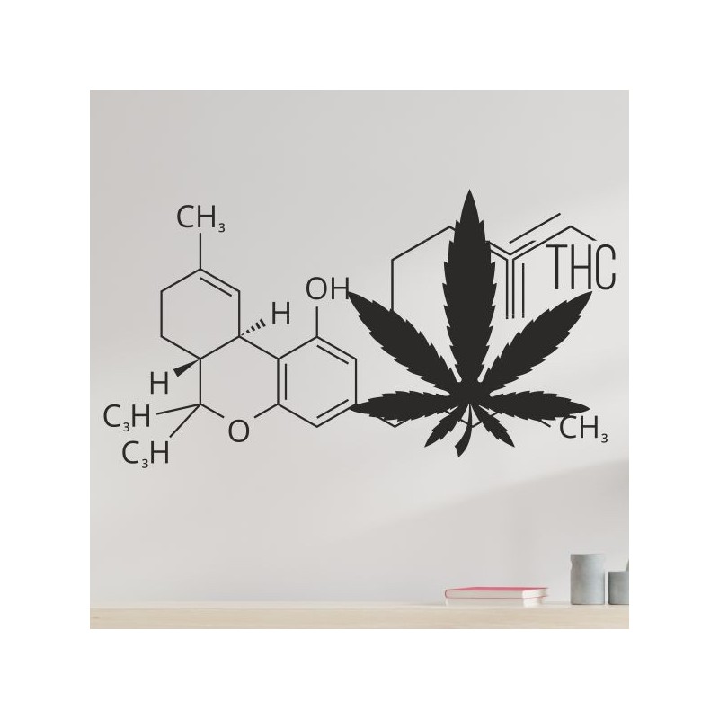 Wandaufkleber Wandtattoo Sprüche Yoga Sugar Skull Bulli Bus Familie Endlosschleife Mandala Buddha Drache Liebe Faultier