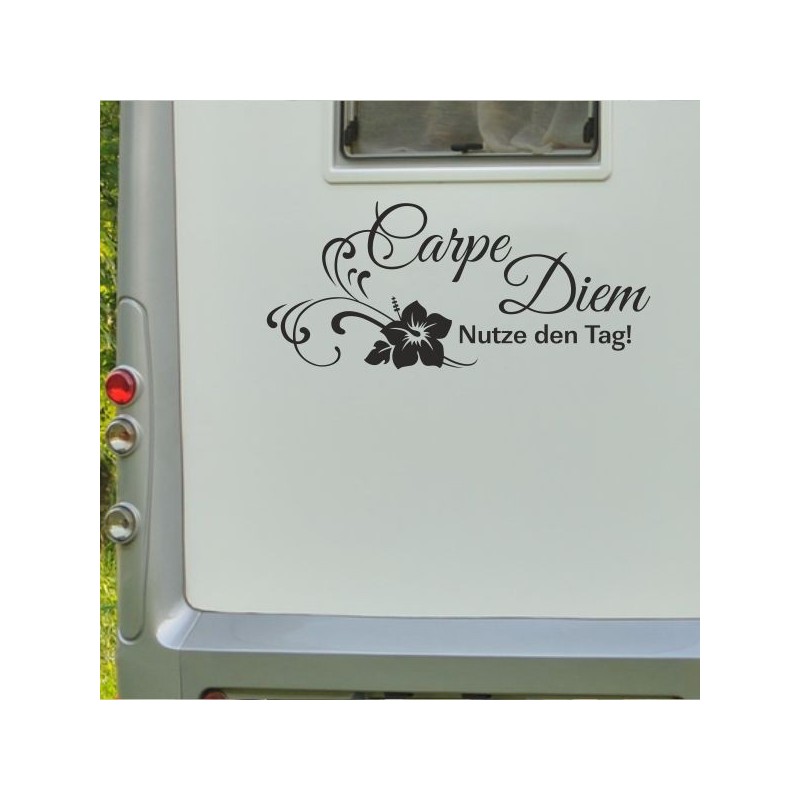 Aufkleber Wohnmobil Wohnwagen Reise Camping Auto Reisemobil Möwe Meer Kompass Globus Strand Palme Urlaub Spruch Familie Zuhause