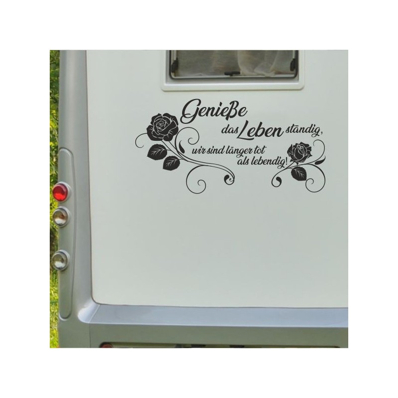 Aufkleber Wohnmobil Wohnwagen Reise Camping Auto Reisemobil Möwe Meer Kompass Globus Strand Palme Urlaub Spruch Familie Zuhause