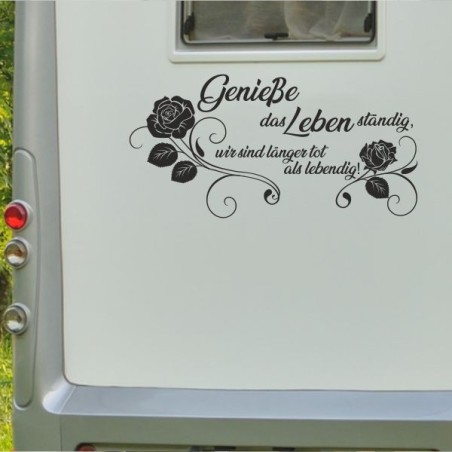 Aufkleber Wohnmobil Wohnwagen Reise Camping Auto Reisemobil Möwe Meer Kompass Globus Strand Palme Urlaub Spruch Familie Zuhause