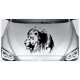 Löwe Lion Kopf Wild Tier Afrika Safari Offroad Wild Free Auto Aufkleber Motorhaube Car Style Tattoo
