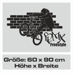 Wandaufkleber Wandtattoo Sport Fußball Kicker Spiel Kinder Kids Snowbord Skateboard Skater Stuntroller Roller BMX Basket Ball
