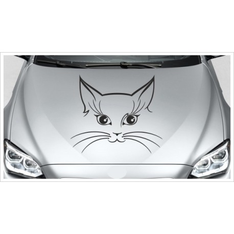 Aufkleber Motorhaube Katze Kätzchen Cat Schmusekatze Autoaufkleber Tattoo Auto Car