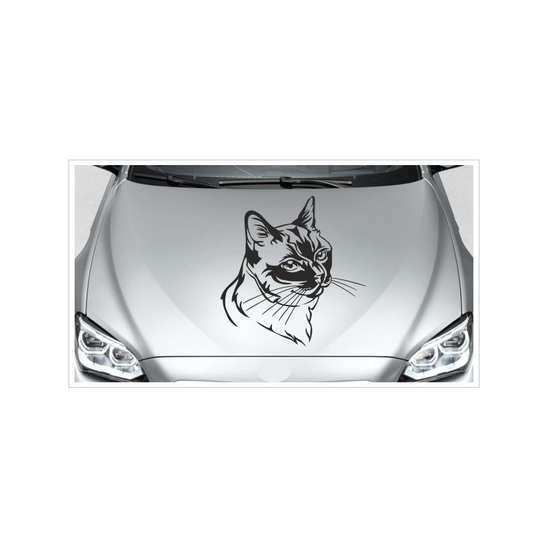 https://wandaufkleber-onlineshop.de/13170-thickbox_default/aufkleber-motorhaube-katze-kaetzchen-cat-schmusekatze-autoaufkleber-tattoo-auto-car.jpg