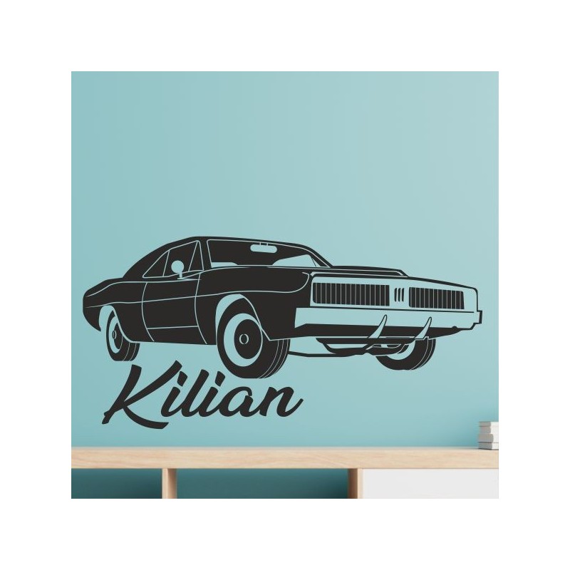 Wandaufkleber Wandtattoo Aufkleber Wand Pony Feuerwehr Dino T-Rex Autos Cars Bagger Fee Elfen Blumen Pirat Faultier Teddy Traum