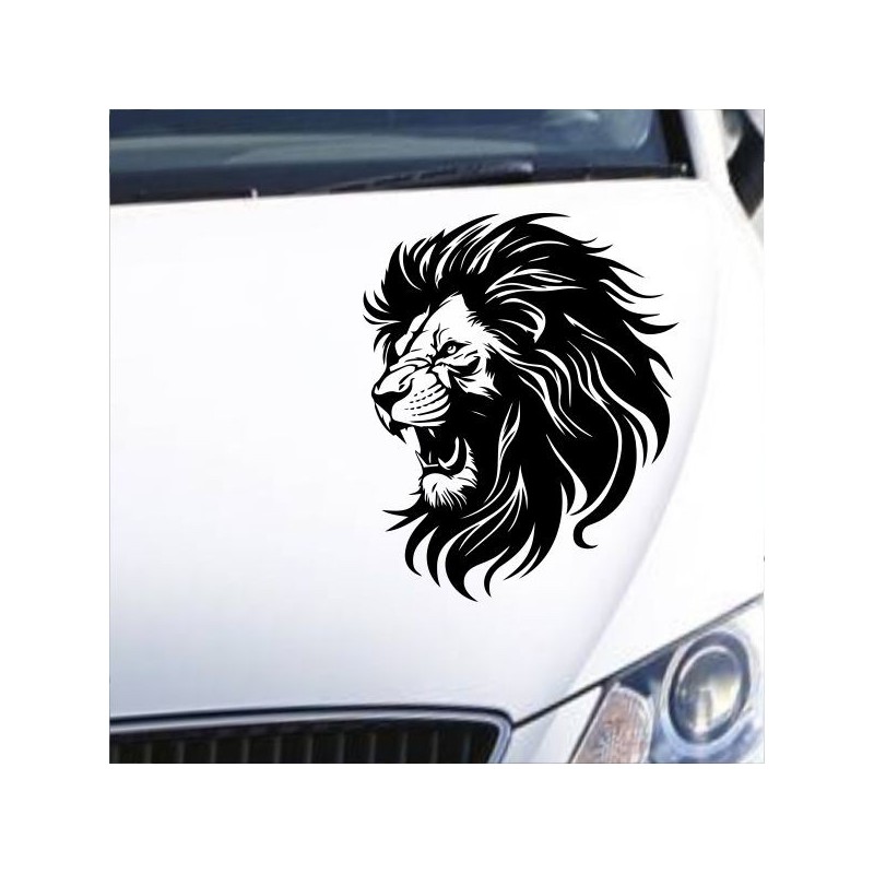 Aufkleber Auto Motorhaube Car Style Tuning Drache Tribal Dekor Rosen Blumen Schmetteringe Tattoo´s Fun Comic Flower Tiere
