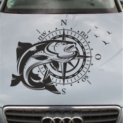 Aufkleber Auto Motorhaube Car Style Tuning Drache Tribal Dekor Rosen Blumen Schmetteringe Tattoo´s Fun Comic Flower Tiere