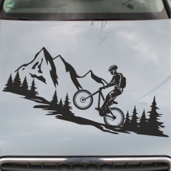 Aufkleber Auto Motorhaube Car Style Tuning Drache Tribal Dekor Rosen Blumen Schmetteringe Tattoo´s Fun Comic Flower Tiere