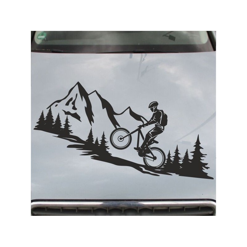 Aufkleber Auto Motorhaube Car Style Tuning Drache Tribal Dekor Rosen Blumen Schmetteringe Tattoo´s Fun Comic Flower Tiere