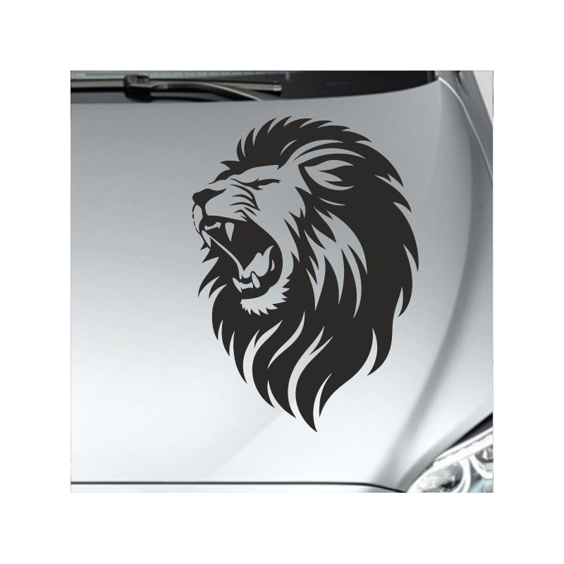 Aufkleber Auto Motorhaube Car Style Tuning Drache Tribal Dekor Rosen Blumen Schmetteringe Tattoo´s Fun Comic Flower Tiere