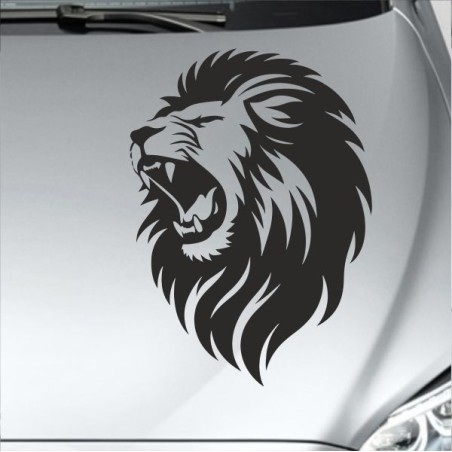 Aufkleber Auto Motorhaube Car Style Tuning Drache Tribal Dekor Rosen Blumen Schmetteringe Tattoo´s Fun Comic Flower Tiere