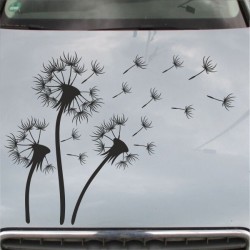 Aufkleber Auto Motorhaube Car Style Tuning Drache Tribal Dekor Rosen Blumen Schmetteringe Tattoo´s Fun Comic Flower Tiere