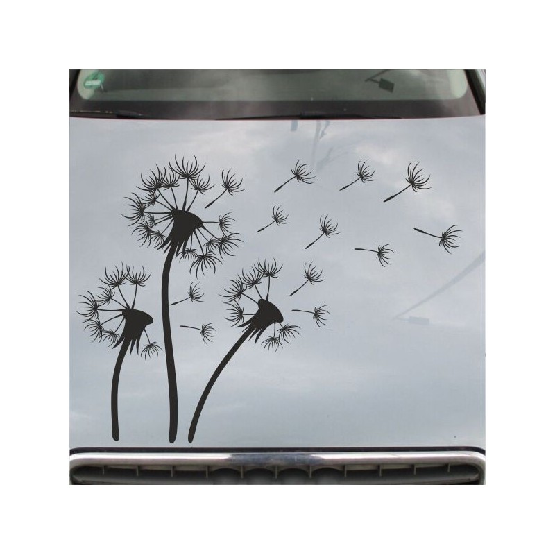 Aufkleber Auto Motorhaube Car Style Tuning Drache Tribal Dekor Rosen Blumen Schmetteringe Tattoo´s Fun Comic Flower Tiere