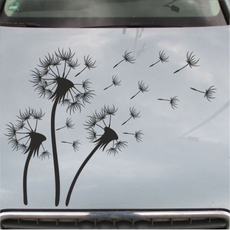 Aufkleber Auto Motorhaube Car Style Tuning Drache Tribal Dekor Rosen Blumen Schmetteringe Tattoo´s Fun Comic Flower Tiere