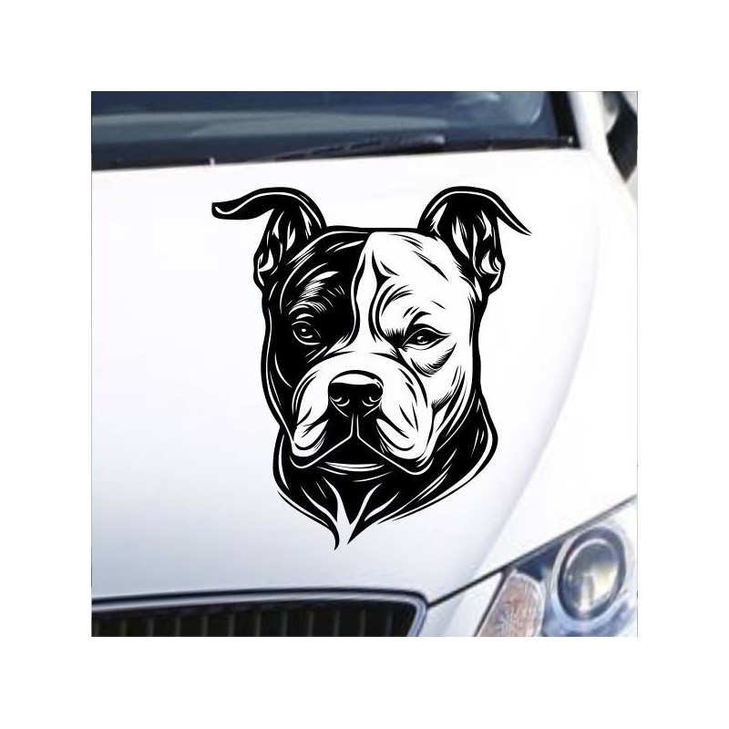 Aufkleber Auto Motorhaube Car Style Tuning Drache Tribal Dekor Rosen Blumen Schmetteringe Tattoo´s Fun Comic Flower Tiere