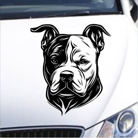 Aufkleber Auto Motorhaube Car Style Tuning Drache Tribal Dekor Rosen Blumen Schmetteringe Tattoo´s Fun Comic Flower Tiere