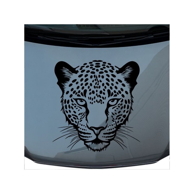 Aufkleber Auto Motorhaube Car Style Tuning Drache Tribal Dekor Rosen Blumen Schmetteringe Tattoo´s Fun Comic Flower Tiere