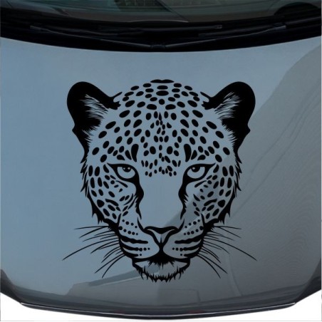 Aufkleber Auto Motorhaube Car Style Tuning Drache Tribal Dekor Rosen Blumen Schmetteringe Tattoo´s Fun Comic Flower Tiere