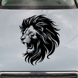 Aufkleber Auto Motorhaube Car Style Tuning Drache Tribal Dekor Rosen Blumen Schmetteringe Tattoo´s Fun Comic Flower Tiere