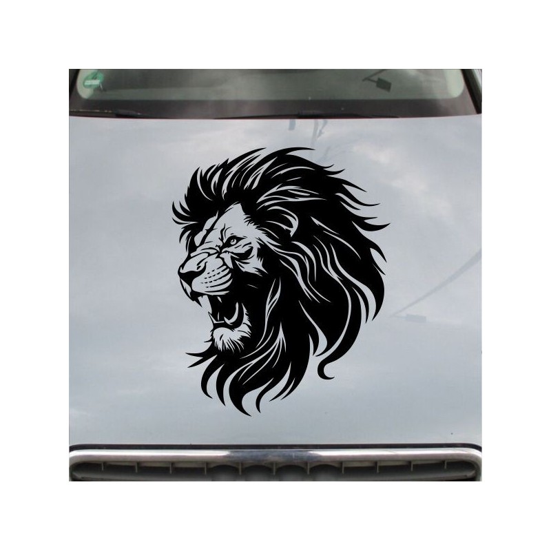 Aufkleber Auto Motorhaube Car Style Tuning Drache Tribal Dekor Rosen Blumen Schmetteringe Tattoo´s Fun Comic Flower Tiere