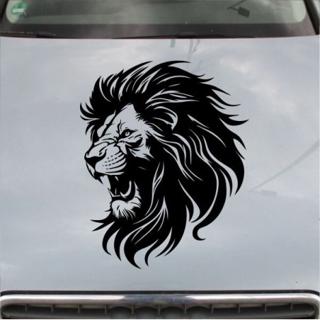 Aufkleber Auto Motorhaube Car Style Tuning Drache Tribal Dekor Rosen Blumen Schmetteringe Tattoo´s Fun Comic Flower Tiere