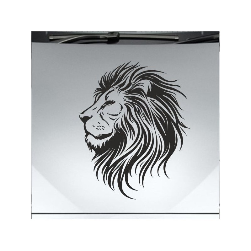 Aufkleber Auto Motorhaube Car Style Tuning Drache Tribal Dekor Rosen Blumen Schmetteringe Tattoo´s Fun Comic Flower Tiere