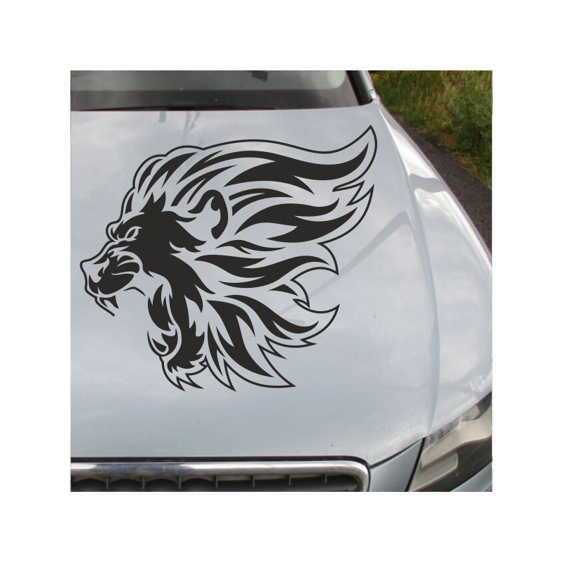 Aufkleber Auto Motorhaube Car Style Tuning Drache Tribal Dekor Rosen Blumen Schmetteringe Tattoo´s Fun Comic Flower Tiere