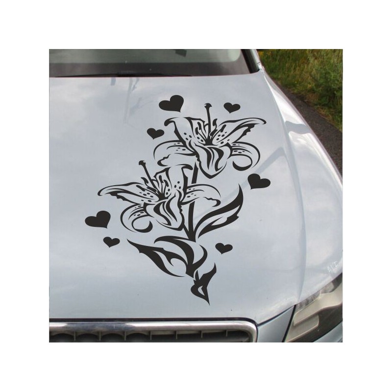 Aufkleber Auto Motorhaube Car Style Tuning Drache Tribal Dekor Rosen Blumen Schmetteringe Tattoo´s Fun Comic Flower Tiere
