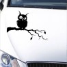 Aufkleber Auto Motorhaube Car Style Tuning Drache Tribal Dekor Rosen Blumen Schmetteringe Tattoo´s Fun Comic Flower Tiere