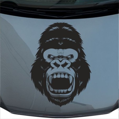 Aufkleber Auto Motorhaube Car Style Tuning Drache Tribal Dekor Rosen Blumen Schmetteringe Tattoo´s Fun Comic Flower Tiere