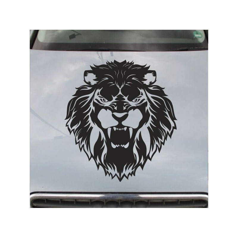 Aufkleber Auto Motorhaube Car Style Tuning Drache Tribal Dekor Rosen Blumen Schmetteringe Tattoo´s Fun Comic Flower Tiere