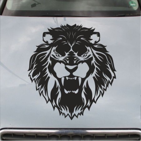 Aufkleber Auto Motorhaube Car Style Tuning Drache Tribal Dekor Rosen Blumen Schmetteringe Tattoo´s Fun Comic Flower Tiere