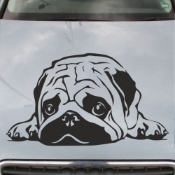 Aufkleber Auto Motorhaube Car Style Tuning Drache Tribal Dekor Rosen Blumen Schmetteringe Tattoo´s Fun Comic Flower Tiere