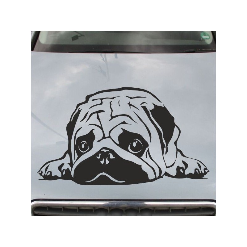 Aufkleber Auto Motorhaube Car Style Tuning Drache Tribal Dekor Rosen Blumen Schmetteringe Tattoo´s Fun Comic Flower Tiere