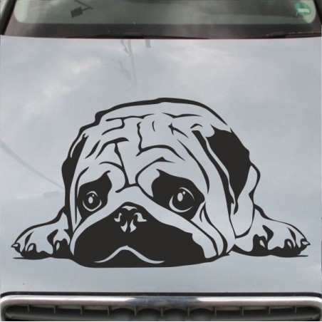 Aufkleber Auto Motorhaube Car Style Tuning Drache Tribal Dekor Rosen Blumen Schmetteringe Tattoo´s Fun Comic Flower Tiere