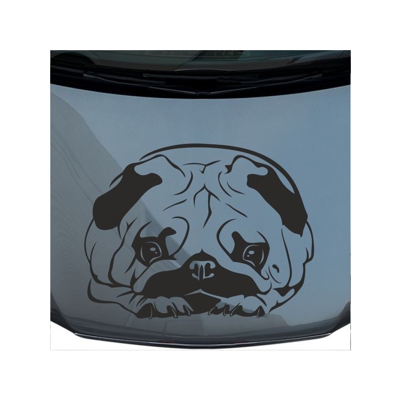 Aufkleber Auto Motorhaube Car Style Tuning Drache Tribal Dekor Rosen Blumen Schmetteringe Tattoo´s Fun Comic Flower Tiere