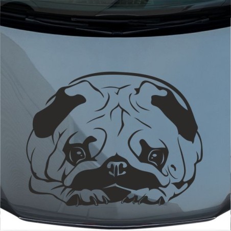 Aufkleber Auto Motorhaube Car Style Tuning Drache Tribal Dekor Rosen Blumen Schmetteringe Tattoo´s Fun Comic Flower Tiere