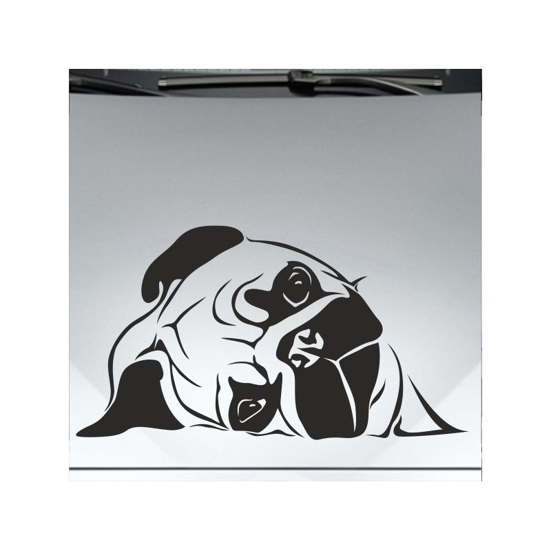 Aufkleber Auto Motorhaube Car Style Tuning Drache Tribal Dekor Rosen Blumen Schmetteringe Tattoo´s Fun Comic Flower Tiere