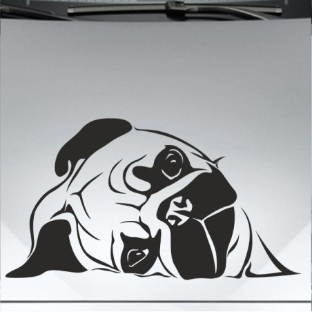 Aufkleber Auto Motorhaube Car Style Tuning Drache Tribal Dekor Rosen Blumen Schmetteringe Tattoo´s Fun Comic Flower Tiere