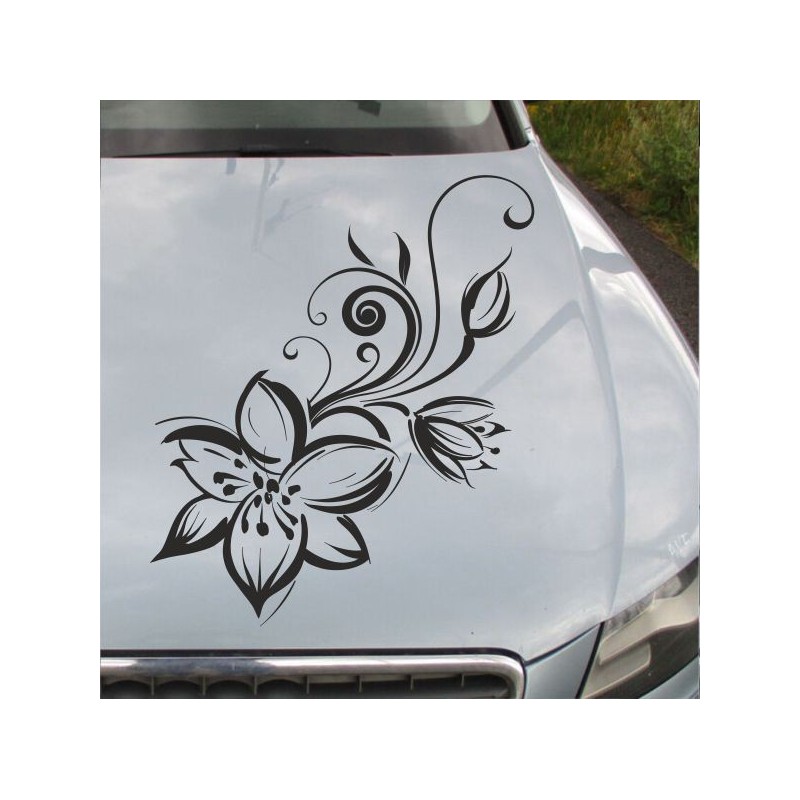 Aufkleber Auto Motorhaube Car Style Tuning Drache Tribal Dekor Rosen Blumen Schmetteringe Tattoo´s Fun Comic Flower Tiere