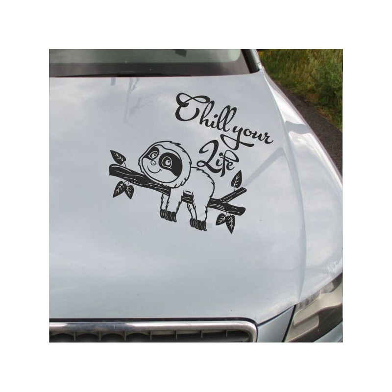 Aufkleber Auto Motorhaube Car Style Tuning Drache Tribal Dekor Rosen Blumen Schmetteringe Tattoo´s Fun Comic Flower Tiere