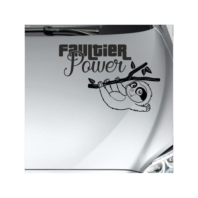 Aufkleber Auto Motorhaube Car Style Tuning Drache Tribal Dekor Rosen Blumen Schmetteringe Tattoo´s Fun Comic Flower Tiere