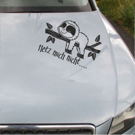 Aufkleber Auto Motorhaube Car Style Tuning Drache Tribal Dekor Rosen Blumen Schmetteringe Tattoo´s Fun Comic Flower Tiere