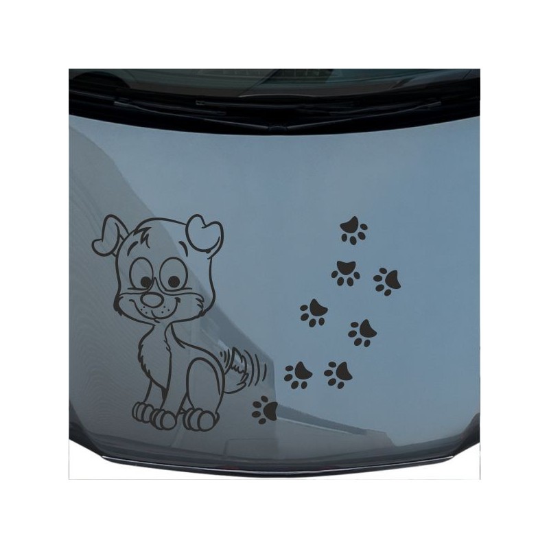 Aufkleber Auto Motorhaube Car Style Tuning Drache Tribal Dekor Rosen Blumen Schmetteringe Tattoo´s Fun Comic Flower Tiere