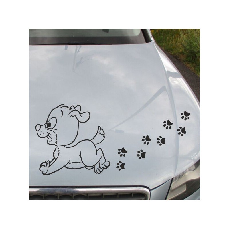 Aufkleber Auto Motorhaube Car Style Tuning Drache Tribal Dekor Rosen Blumen Schmetteringe Tattoo´s Fun Comic Flower Tiere